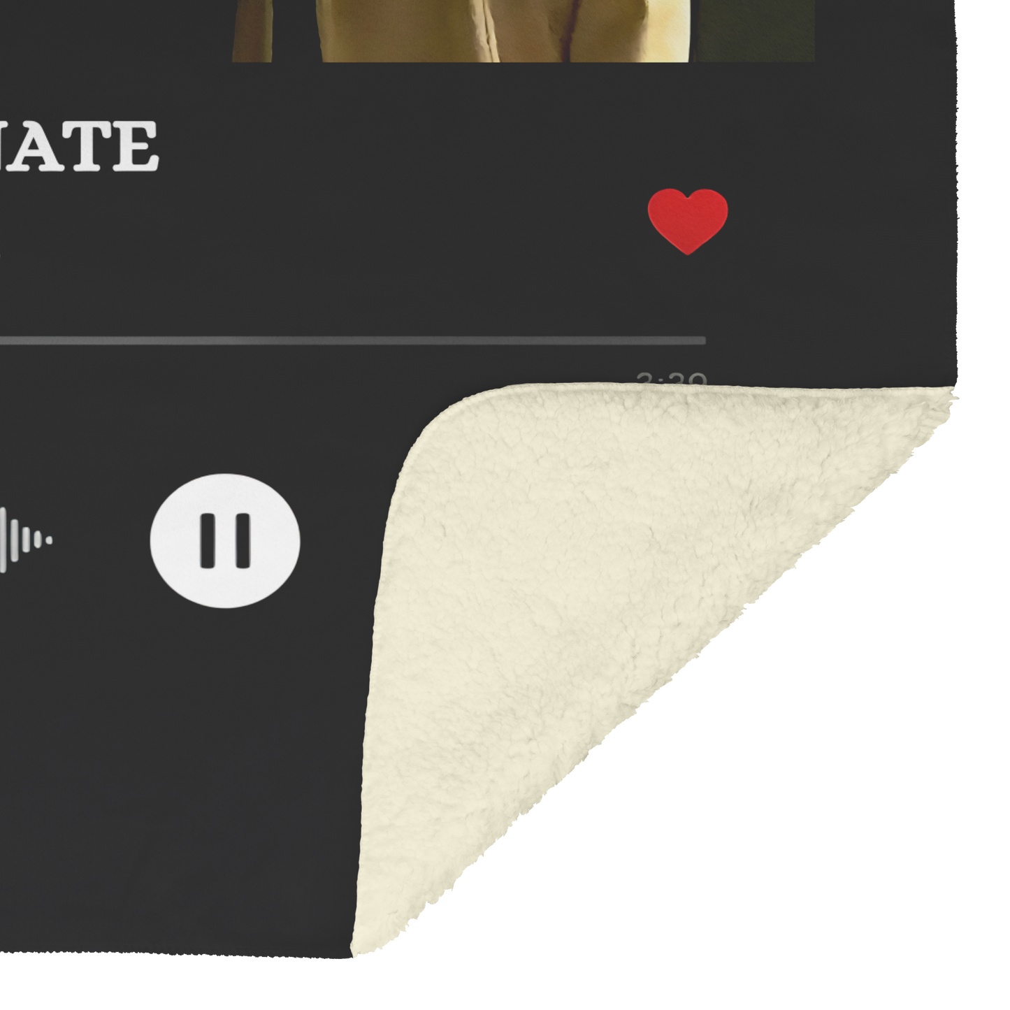 CUSTOM_MAXWELL_PHOTO_V_Blanket_Sherpa_Mockup.png