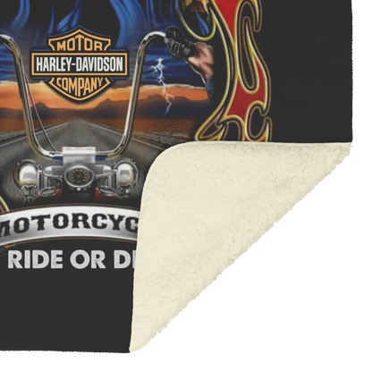 Blazing_Harley_Davidson_Fiery_Eagle_Bike_V_Blanket_Sherpa_Mockup.png